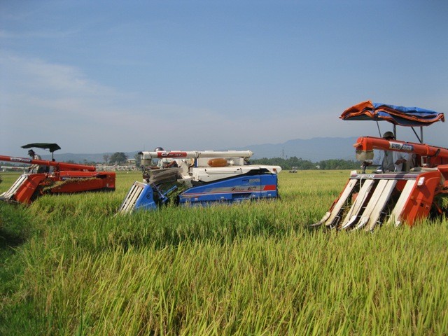 Hoa Vang, new rural district in Da Nang - ảnh 2